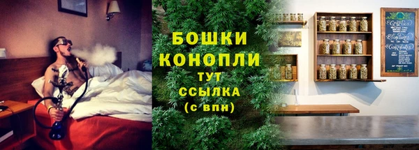 стаф Бронницы
