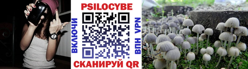 МЕГА сайт  Клинцы  Псилоцибиновые грибы ЛСД 