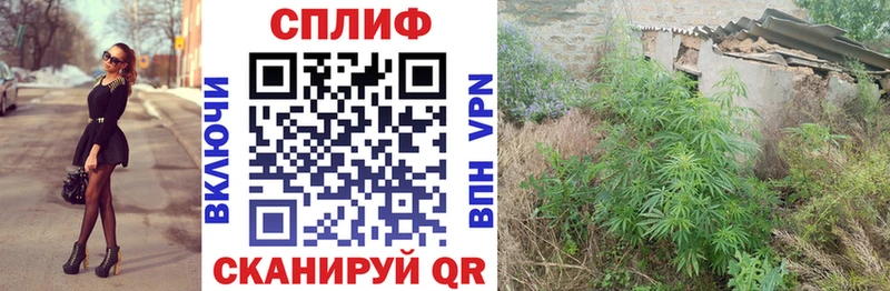 Бошки Шишки Amnesia  где найти наркотики  Клинцы 